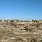 Casa Playa Les Bassetes *