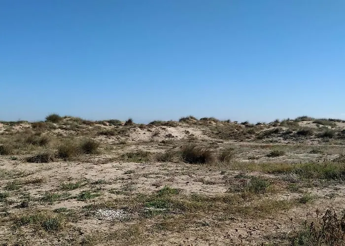 Casa Playa Les Bassetes Сasa de vacaciones Oliva